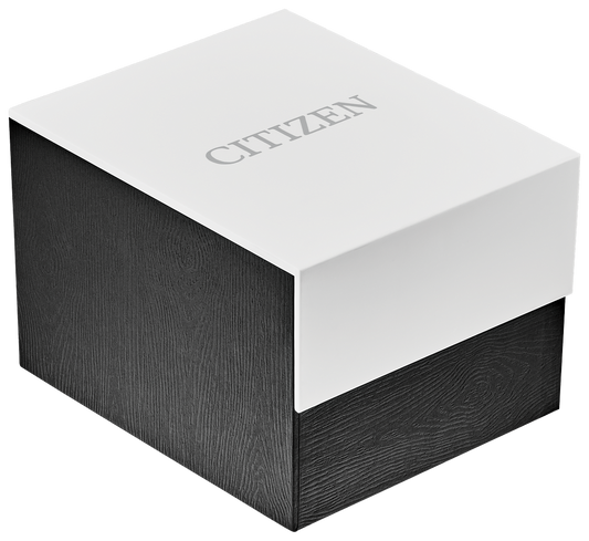 Citizen Quartz Gold Tone Mens Expansion Watch BF5002-99P