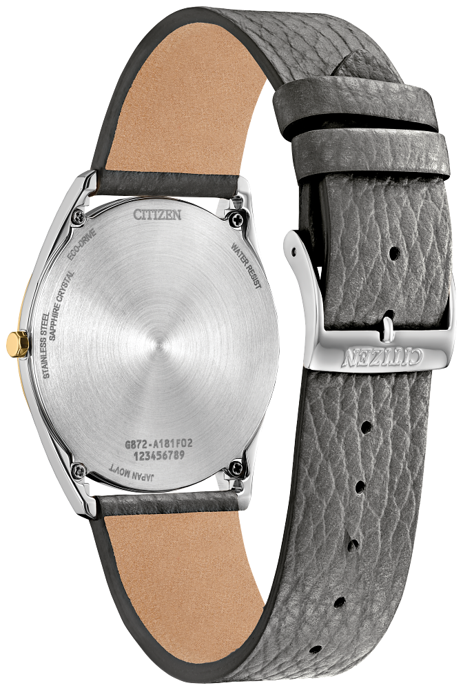 CITIZEN Suratto Watch AR3124-07H
