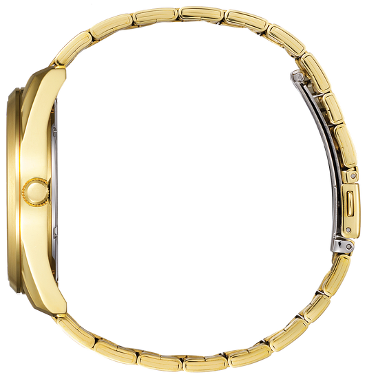 CITIZEN Quartz Gold Tone Men Watch BI1032-58L