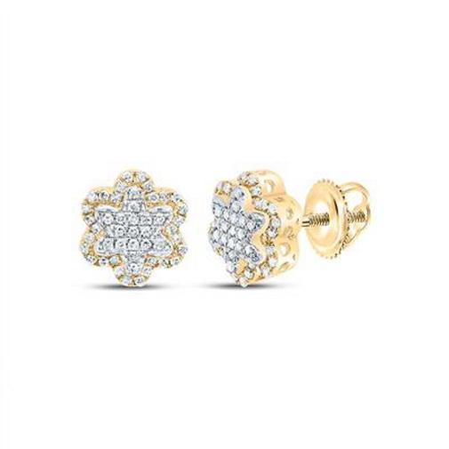 0.25ctw Diamond Flower Cluster Stud Earrings 10K Yellow Gold