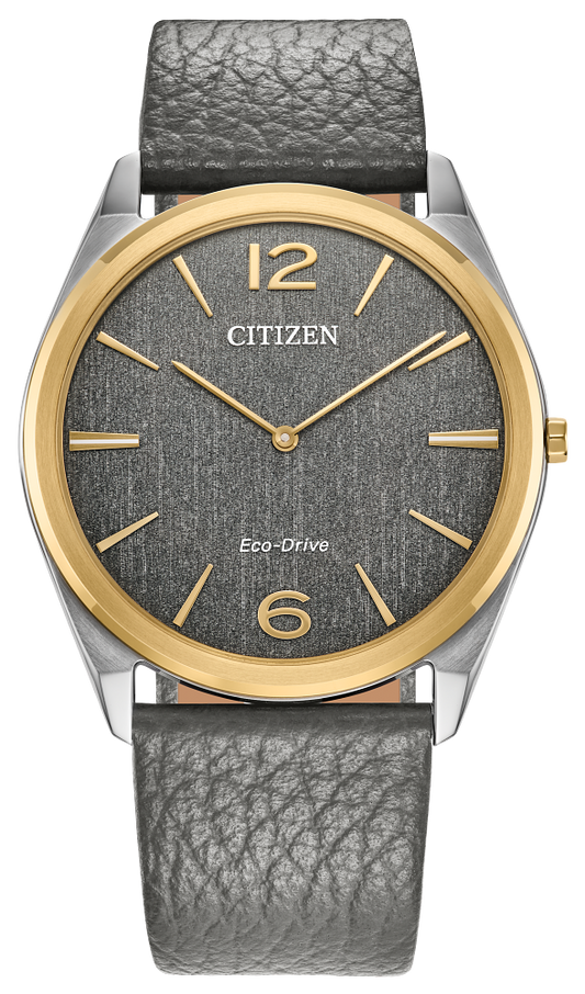CITIZEN Suratto Watch AR3124-07H