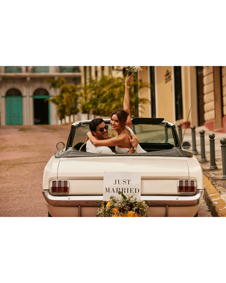 Bulova Frank Sinatra Nothing But The Best Automatic Mens Tonneau Watch 97B243