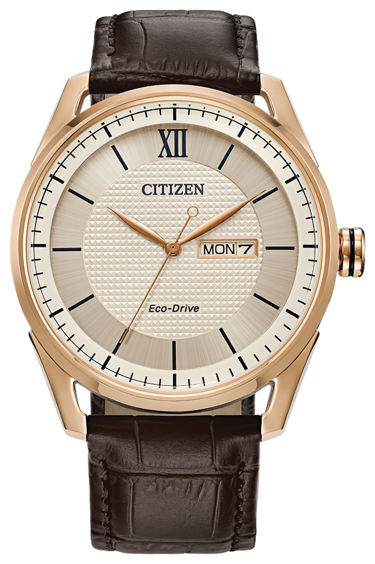 CITIZEN Eco-Drive Classic Watch AW0082-01A