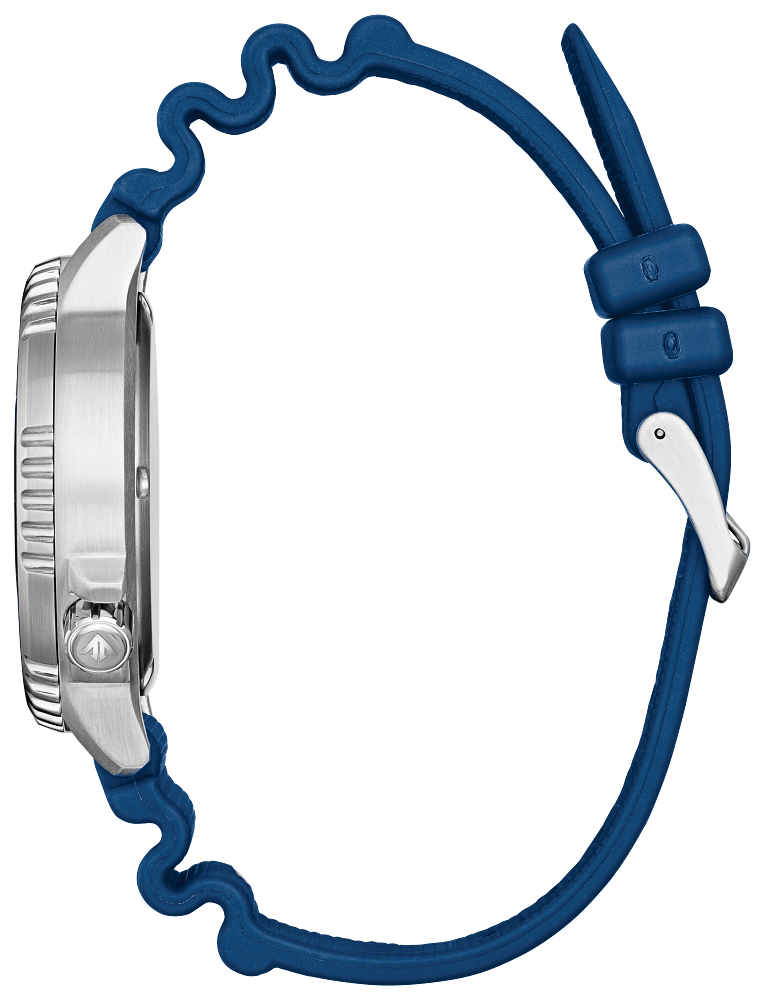 Citizen Eco-Drive Promaster Dive Watch BN0168-06L
