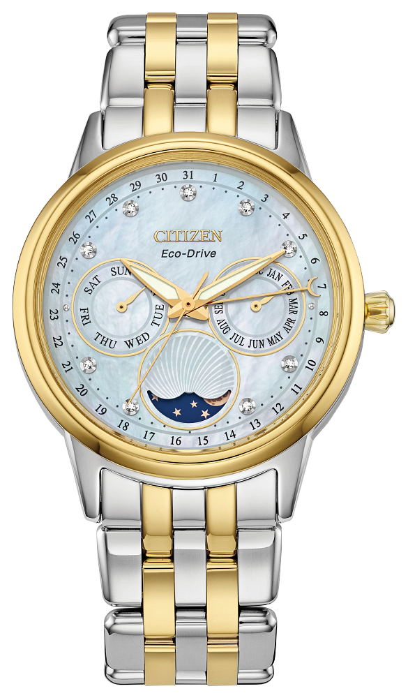 CITIZEN Calendrier Ladies Watch FD0004-51D