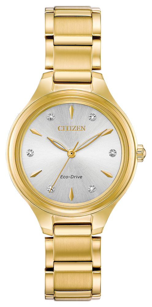 CITIZEN Eco-Drive Corso Watch FE2102-55A